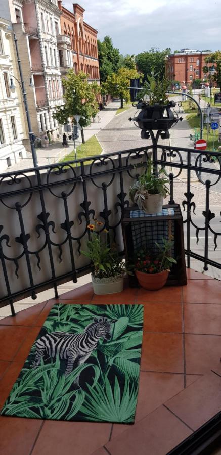 Stary Toruń Astronomiczny Apartament , Mieszkanie 2 Pokojowe. Parking. מראה חיצוני תמונה