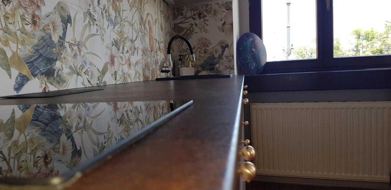 Stary Toruń Astronomiczny Apartament , Mieszkanie 2 Pokojowe. Parking. מראה חיצוני תמונה